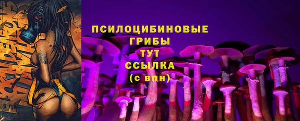 винт Бородино