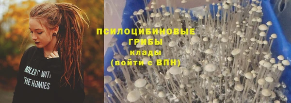 сатива Бугульма