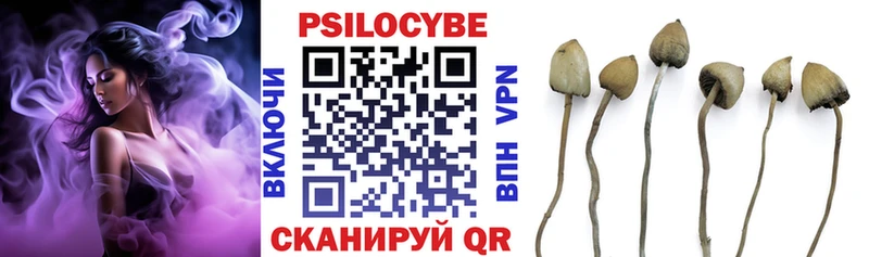 Псилоцибиновые грибы GOLDEN TEACHER  Кирсанов 
